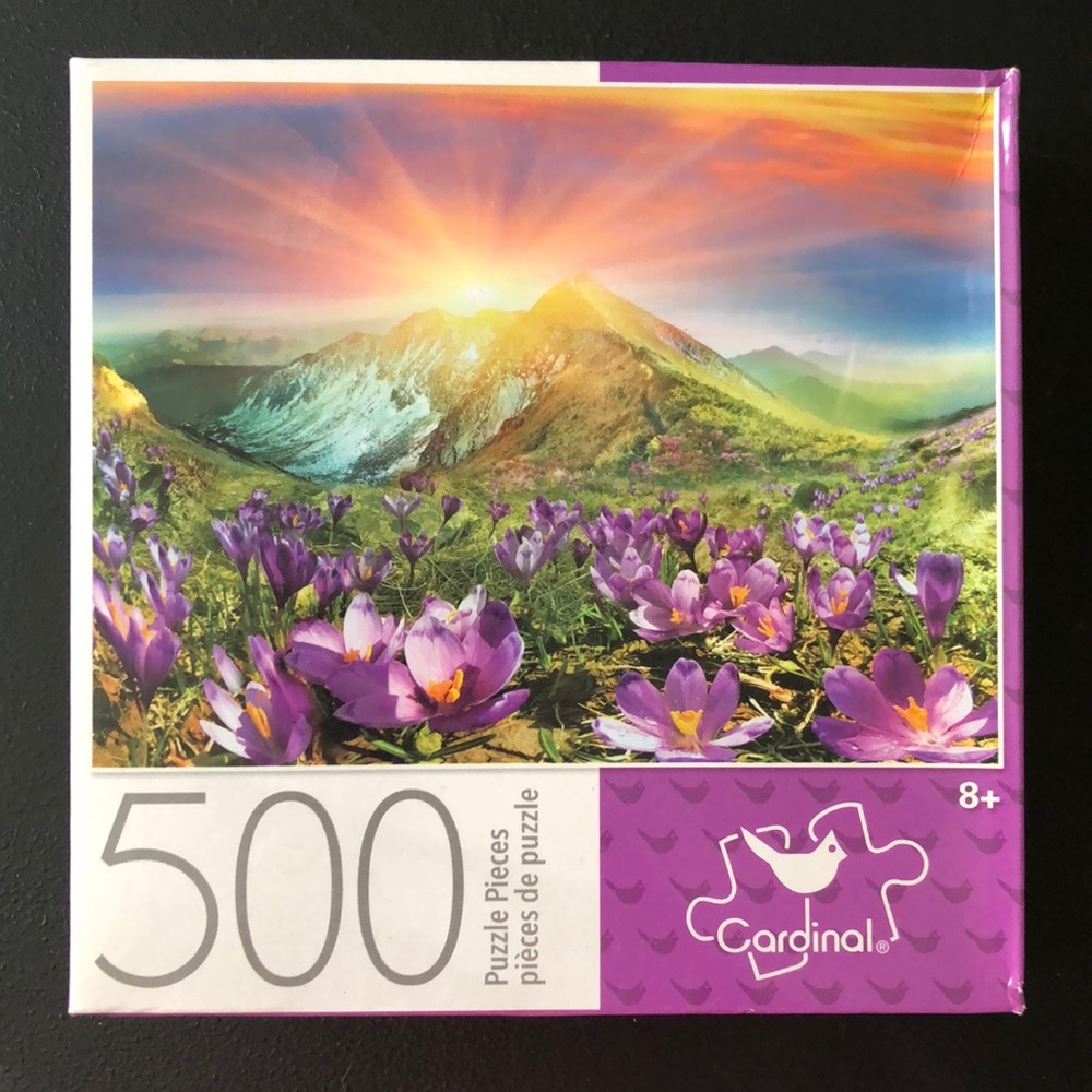 A 500 piece puzzle